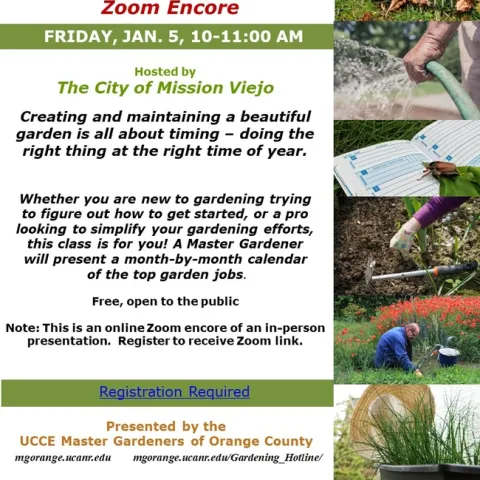 Timing is Everything: Dive into a Zoom Workshop with a Master Gardener