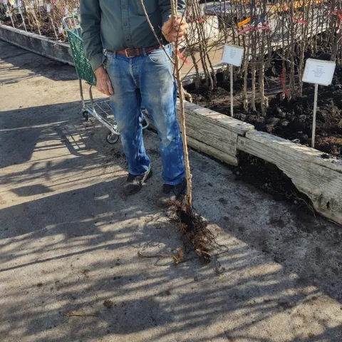 Photo by Bill Doucet 1.6.23