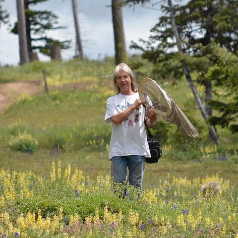 In the field: David James, an entomologist and associate professor at Washington State University.