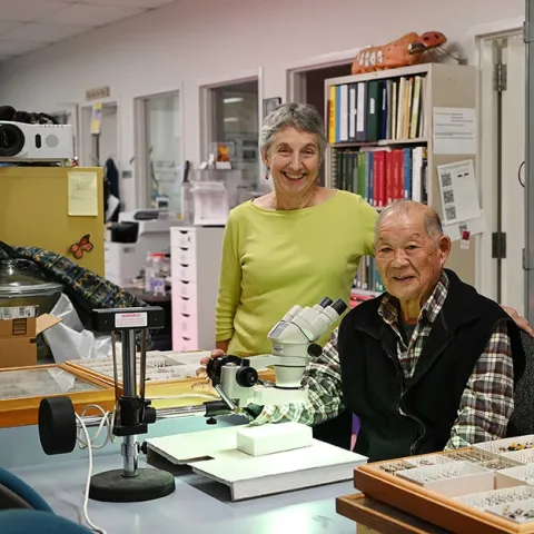 UC Davis distinguished professor emeritus Harry Kaya and UC Davis distinguished professor Lynn Kimsey are longtime friends and colleagues. They are pictured here Dec. 17, 2023 in the Bohart Museum of Entomology. (Photo by Kathy Keatley Garvey)