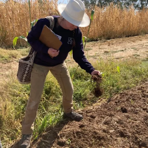 Margaret Lloyd grabs a handful of soil to examine in a field.