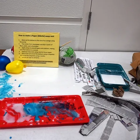 Bohart Museum of Entomology set out instructions on how to make a paper mache wasp nest. (Photo by Kathy Keatley Garvey)