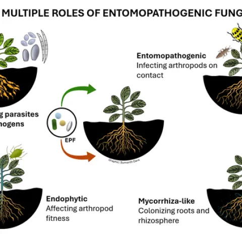 EPF-Multiple roles-Surendra Dara