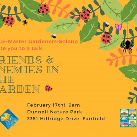 flyer for upcoming event on February 17 at 9 am, Friends & Enemies n the Garden held at Dunnell Nature Park, 3351 Hillridge Drive, Fairfield. Learn about good and bad insects and how to manage them.