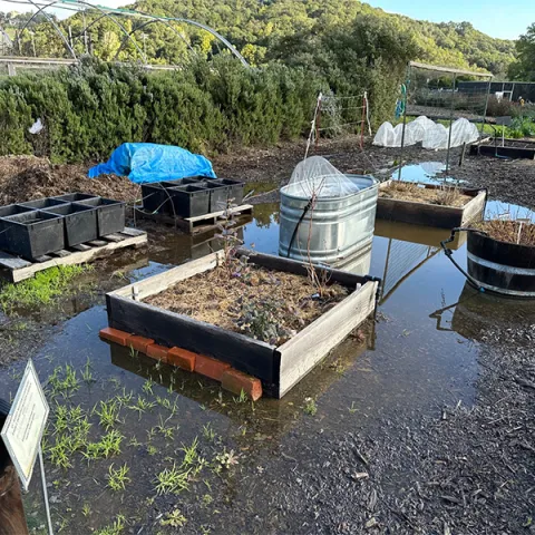 The flooded garden needed time to dry out after the February rains.