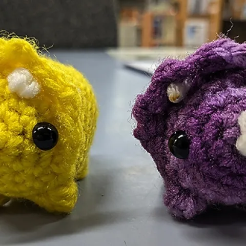These are two of the crocheted triceratops crafted by UC Davis animal biology major Jakob Lopez. He will hide them on UC Davis Biodiversity Museum Day, set Saturday, Feb. 10.