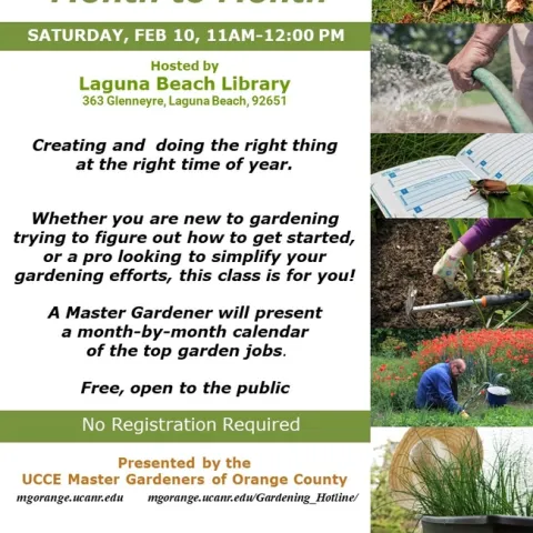 Grow with the Seasons: Master Gardener's Monthly Guide