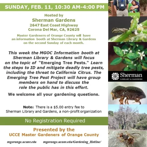 Protect Your Garden! Master Gardeners Share Insights on Emerging Tree Pests – Sherman Gardens Booth