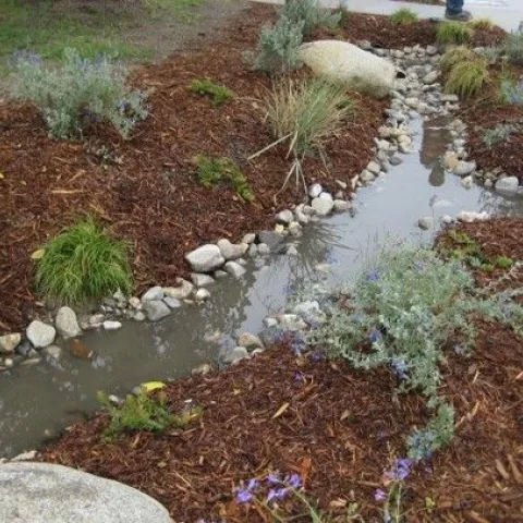 Bioswale-ElmerAve-Wet