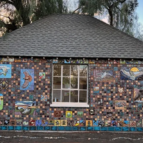 This is the newly installed mural, "Bird's Eye View," which visitors to the California Raptor Center, UC Davis campus, can see during the UC Davis Biodiversity Museum Day on Saturday, Feb. 10. (Photo by Diane Ullman, UC Davis distinguished professor of entomology and artist)
