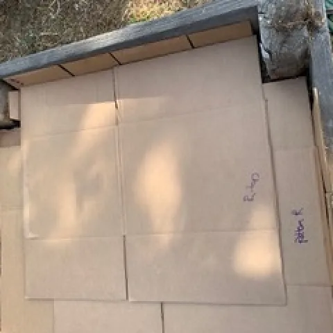 Photo Credit - Sue Helms