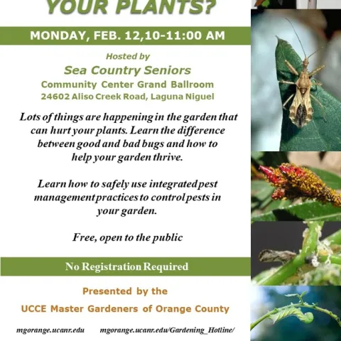 Don't Let Pests Wreck Your Garden! Master Integrated Pest Management. Save The Date.
