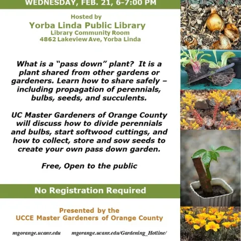 Transform Your Garden with 'Pass Down' Plants! Join Us for Expert Guidance.