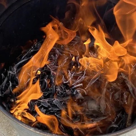 A series of wildfire experiments conducted at UC San Diego carry implications for aquatic ecosystems in areas such as the Sierra Nevada mountains. Photo credit: C.Wall