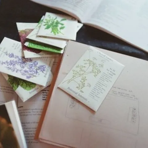 Seed packets, garden map, old couch by cafemama is licensed under CC BY-NC-SA 2.0.