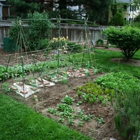 spring vegetable garden by woodleywonderworks is licensed under CC BY 2.0.