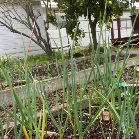 photos by Brenda Altman