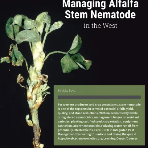 Screenshot 2024-02-21 at 9.32.55?AM