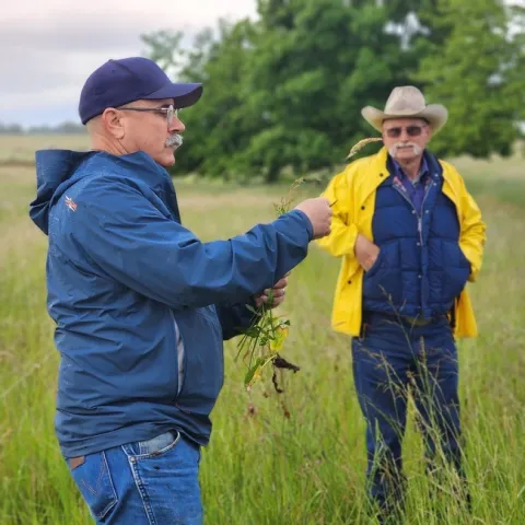 Photo May 07 2023, 11 12 28 AM