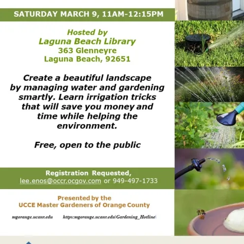 Master Water-Wise Gardening Now! Save, Thrive, Conserve