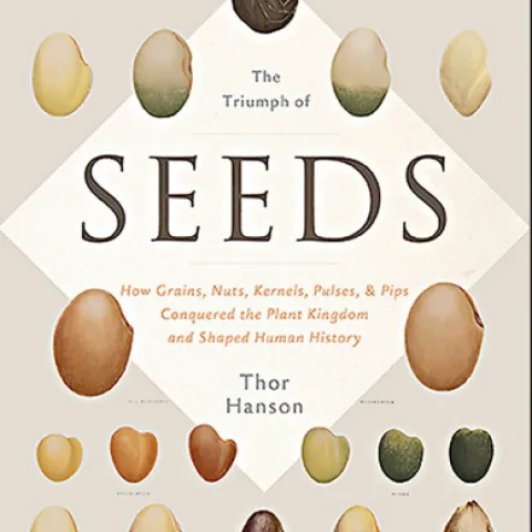 Seeds-1