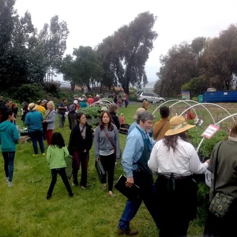 Clients of the first West County GTPS, held in 2014 at the former Adams Middle School site in Richmond, CA, choose plants. Photo by Liz Rottger.