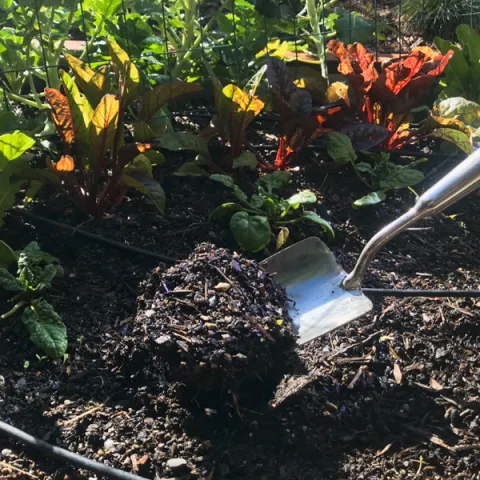 Garden soil can look healthy and still be lacking in nutrients essential for optimum plant growth