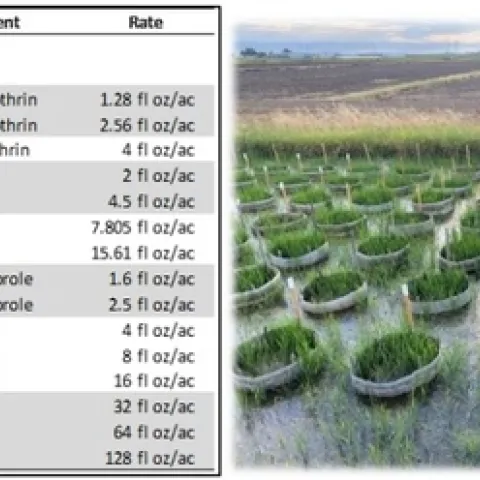 types of treatments tested on the left and the treatment areas on the right