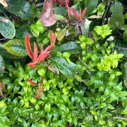 photos by Erin Mahaney