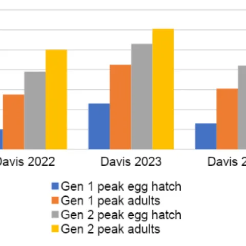 Screenshot 2024-03-03 18.07.35