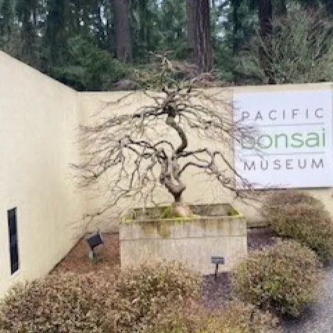 photos by Jennifer DeDora