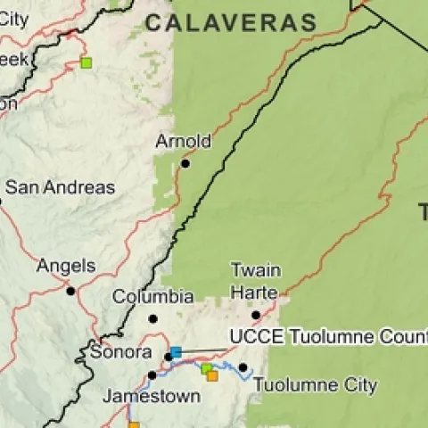 Central Sierra Counties highlighting National Forests