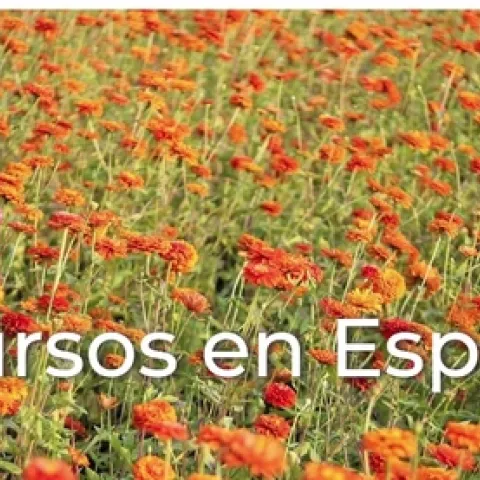 recursos en espanol