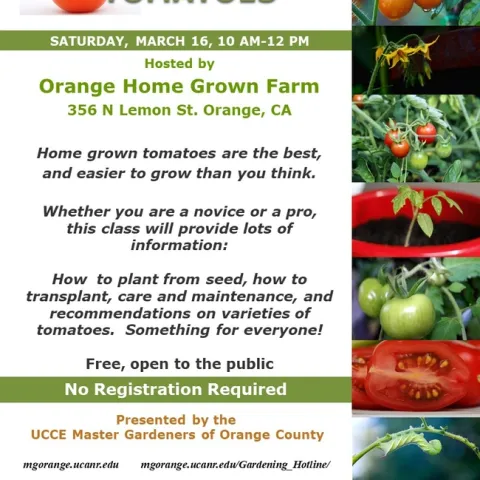 Unlock the Secrets to Perfect Homegrown Tomatoes. Plan To Join Us.