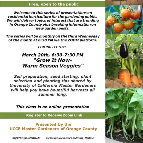 Don't Miss Out! Join Our Exclusive Monthly Lecture Series on Trending Topics in Orange County!