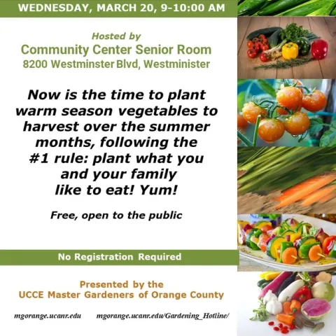 Get Ready for Summer Harvests: Join Our Warm Season Vegetables Workshop