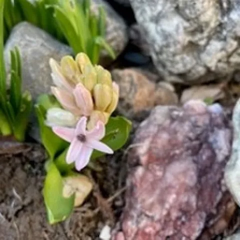 photos by Michelle Krespi