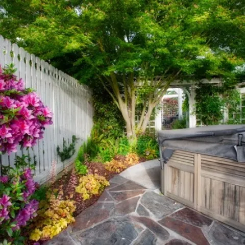 Feature 3 - North Area for Shade Plants