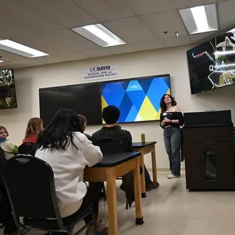 UC Davis student entomologist Sol Wantz begins her presentation on "Grasshoppers, Crickets and Katydids" at the Bohart Museum of Entomology open house. (Photo by Kathy Keatley Garvey)