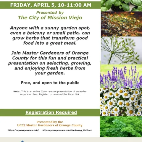 Join Us for HERBS Zoom Encore: Elevate Your Cooking Game