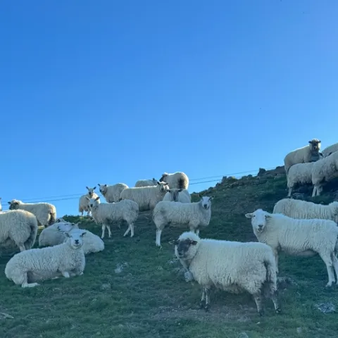 Photo Mar 17 2024, 9 12 27 AM