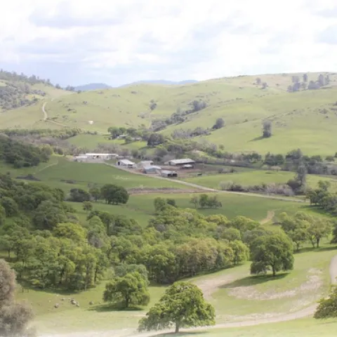 Sierra Foothill Research and Extension Center