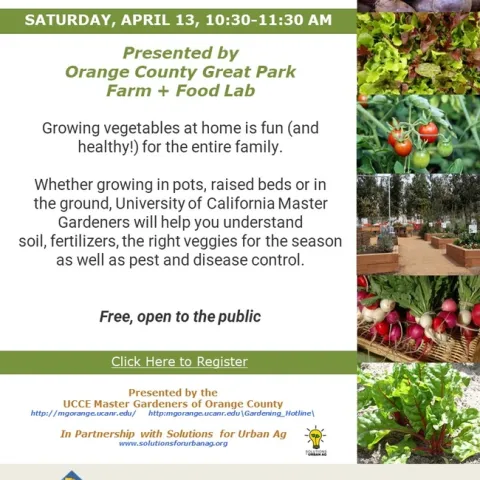 Plant Your Path to Wellness: Master Vegetable Gardening with Experts