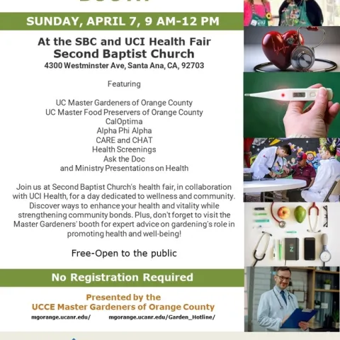 Empower Your Health: Don't Miss Second Baptist Church's Health Fair