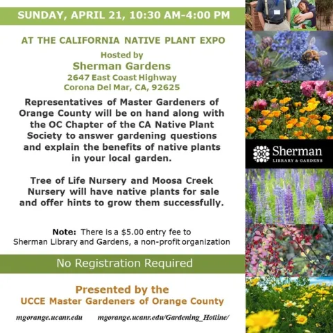 Join Us at the Native Plant Expo! Explore, Learn, and Shop for Native Beauties. Let's Cultivate a Greener Tomorrow.