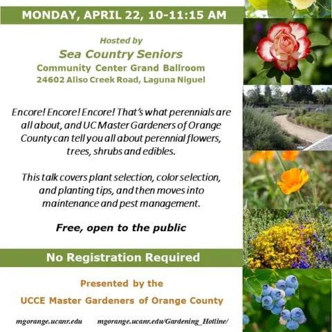 Perennial Paradise Awaits! Join Us for Insights on Selection, Colors & Care with UC Master Gardeners.