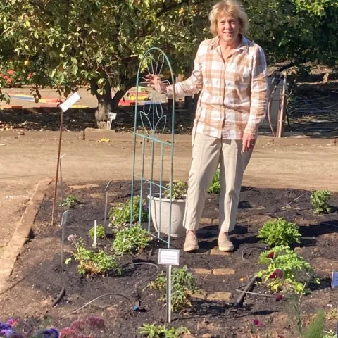 Emily LaRue in the newly planted garden bed that features pelargoniums, or scented geraniums. (Photo: Jeannette Warnert)