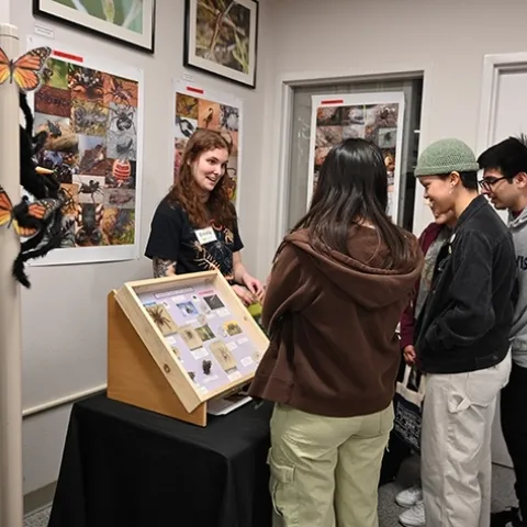 UC Davis doctoral student Emma Jochim discusses arachnids at a Bohart Museum of Entomology open house. She'll be showing the diversity of arachnids at Briggs Hall during UC Davis Picnic Day on Saturday, April 20, with colleagues. (Photo by Kathy Keatley Garvey)