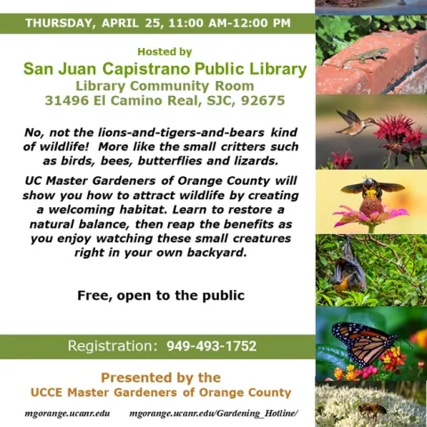 Transform Your Backyard: Create a Wildlife Haven