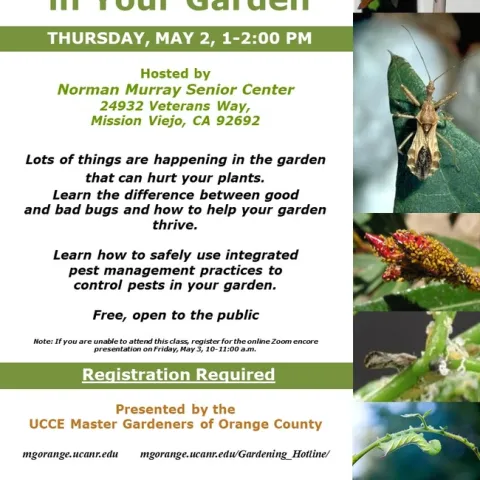Defend Your Garden: Learn Pest Management Secrets Now! Sign Up!